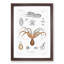 Red Octopus by A.A. Gould - Picture Frame Painting Print-55597824-55597825