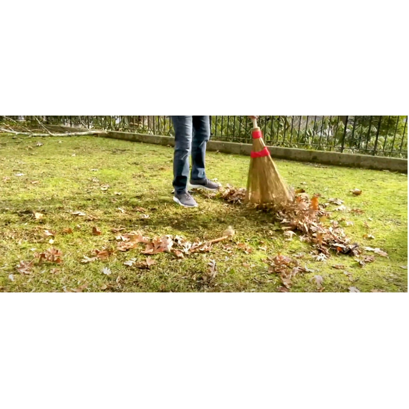 Household Brooms, Brown