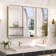 Gervon Rectangle Recessed Medicine Cabinet with Shelves
