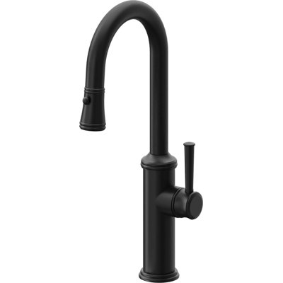 Davoli Pull-Down Prep/Bar Faucet with Button Sprayer
