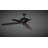 Hawden 60 in. Matte Black Indoor Rod Mount Transitional Ceiling Fan with Reversible Gray Oak-Black Oak Blades, Dimmable LED Light Kit and Remote Control Included, 6 Speeds, Energy Efficient DC Motor