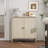 2 Door Cabinet