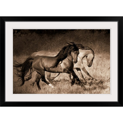 «Kemani The Dance», Lisa Dearing, reproduction de photo