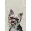 Wrapped Canvas Painting-36811540