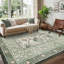 Vintage Botanical Area Rug, Washable Low Pile Non-Slip Carpet for Living Room, Bedroom or Hallway