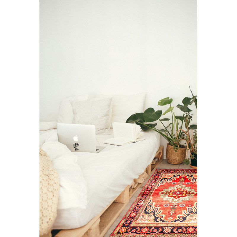 Anadol Red Rug 4'2" x 6'6"