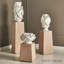 Twisted Vine Vase-Matte White