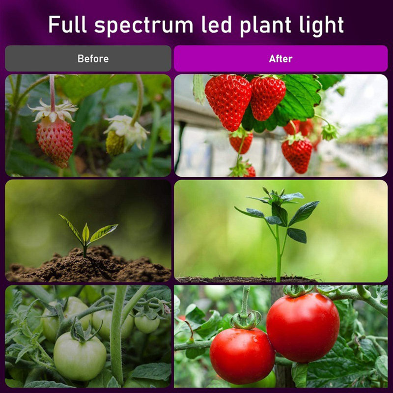 72LEDs Full Spectrum LED Plant Grow Lights, Height Adjustable, Silver
