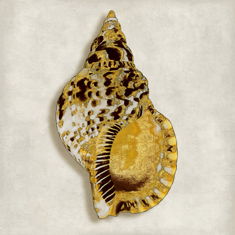 Golden Ocean Gems On Ivory III by Caroline Kelly - Wrapped Canvas Print, 30cm H x 30cm W