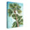 " Tropical Palm Trees "