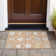  Machine Washable Indoor/Outdoor Chantille ACN1026 Rug