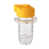 Orange,Yellow