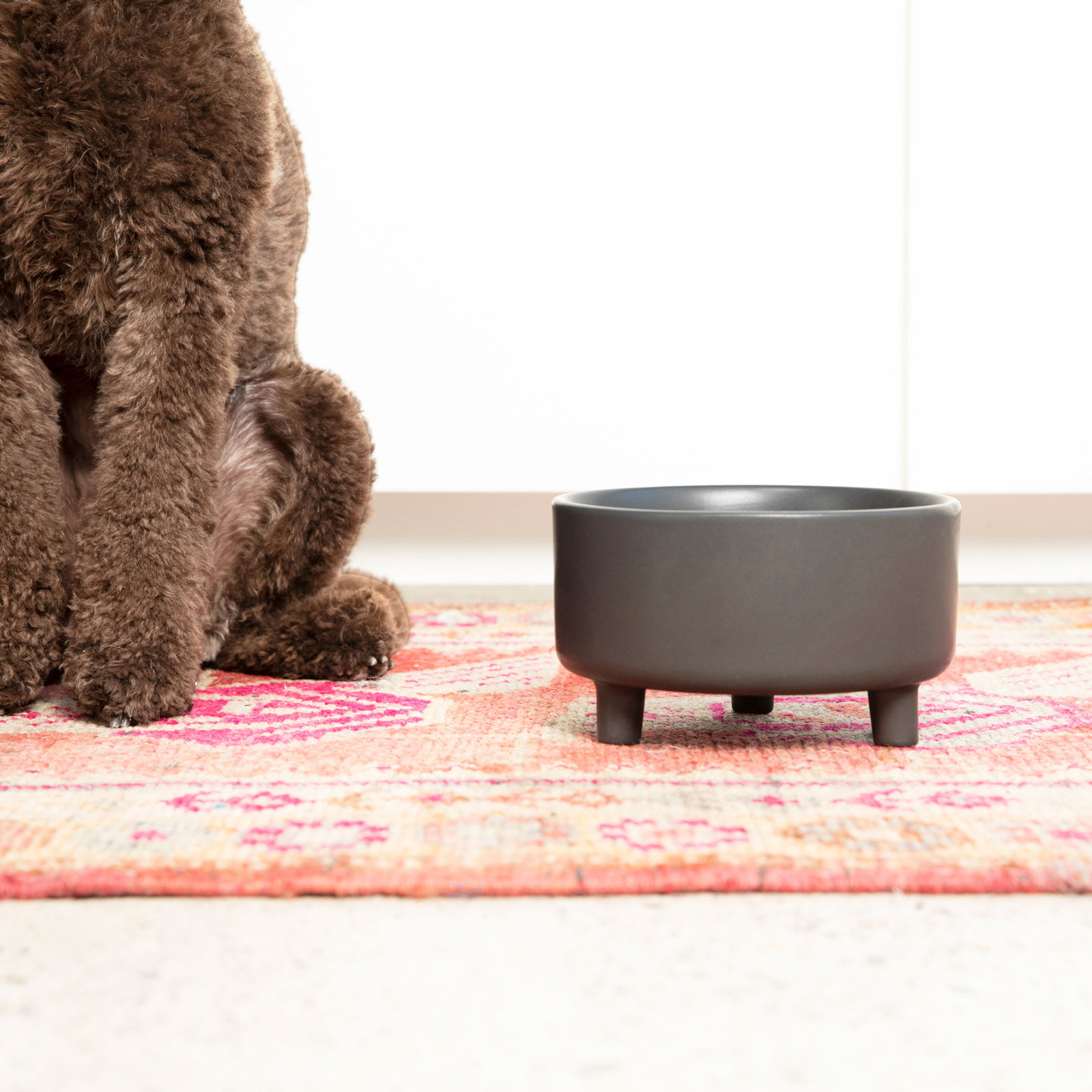 Uplift Ceramic Dog Bowl, Black, Large (8 cups / 64 fluid oz)
