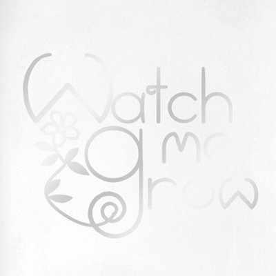 Wall Decal