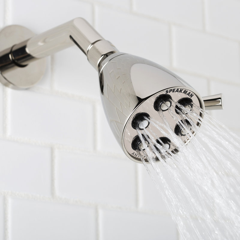 Icon Anystream Multi Function Adjustable Shower Head, Polished Nickel, 2.5 GPM