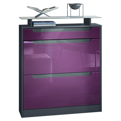 16 Pair Shoe Storage Cabinet
