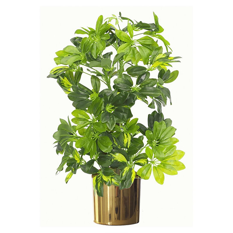 Indoor Cachepot, Gold