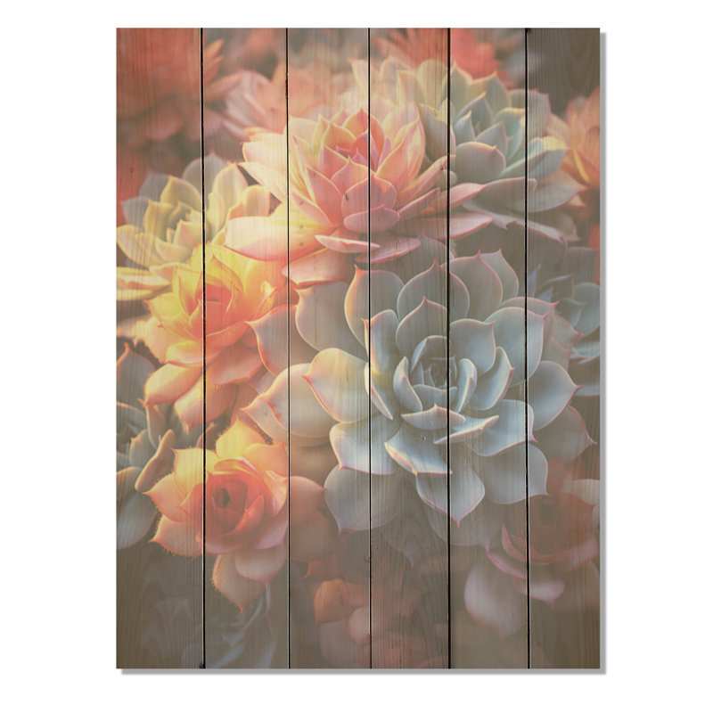 Succulent cactus champ coucher de soleil - Art sur bois de pin naturel, H 20 po x l 10 po