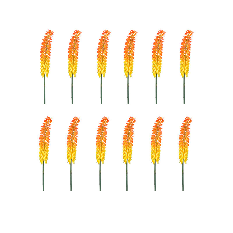 Paquet de 12 fleurs de lis de torche de 34 po Primrue
