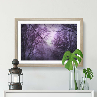 Sky Behind the Winter Trees - Picture Frame Painting Print
