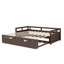Lit de jour extensible simple avec lit gigogne-1680059630