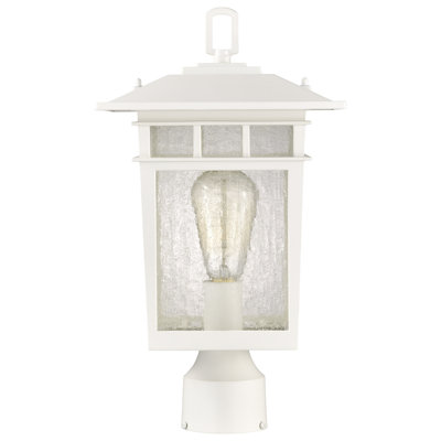 Seeded Lantern Head