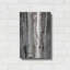 "Aspens II" par Debra Van Swearingen-577480581