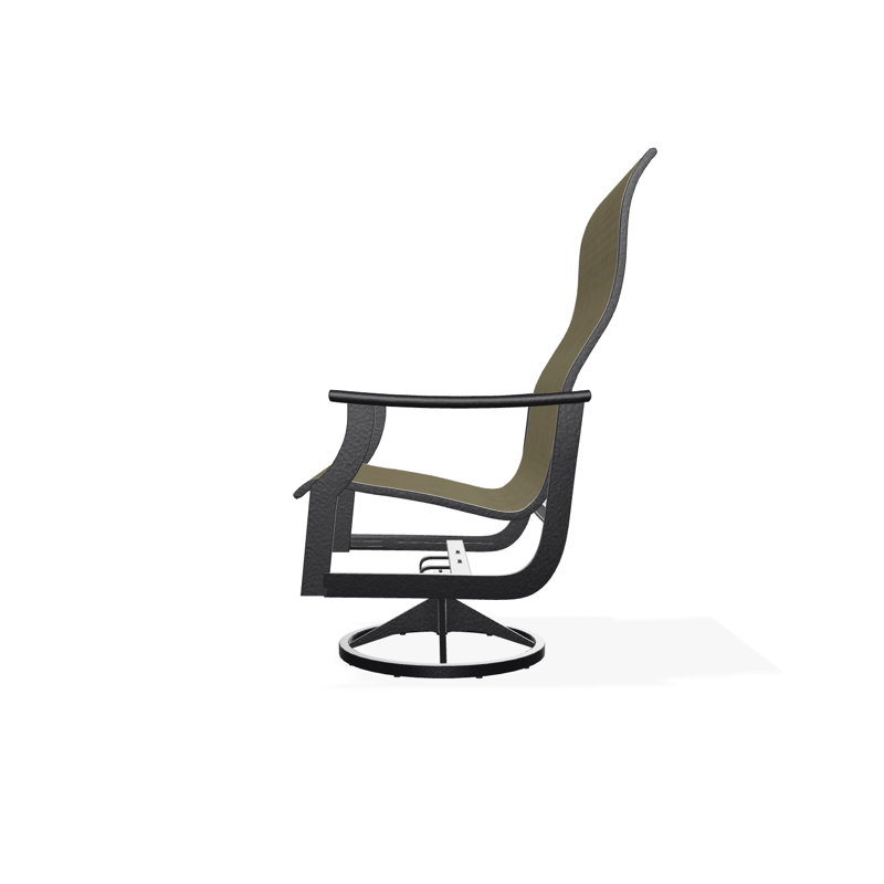 St. Catherine Polymer Outdoor Lounge Chair, Black, Augustine Shadow