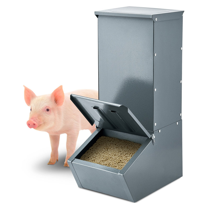 Mangeoire pour porc robuste en acier galvanisé avec couvercle verrouillable