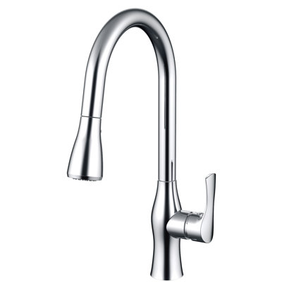 Daweier Pull Out Kitchen Faucet