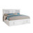 Covertt Solid Wood Bookcase Storage Bed-26241475-26241473