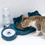 Ensemble 3-en-1 pour animal de compagnie et distributeur automatique d'eau - Bol pour chat / chien alimenté par gravité d'une capacité de 500 ml pour les animaux de compagnie de petite et moyenne taille (conception inclinable adaptée au cou, bol facile à nettoyer)