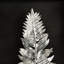 Fern Shadow Box-60151552