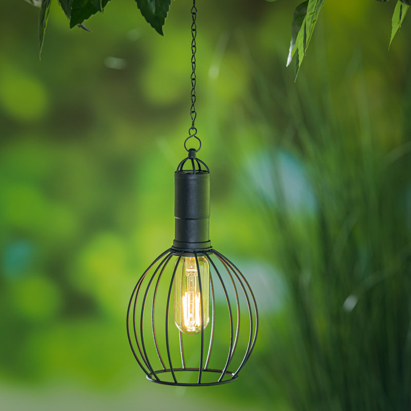 Guzzi Outdoor Pendant