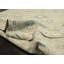 Millspaugh One-of-a-Kind 10'1" X 13'9" Hand Knotted Area Rug