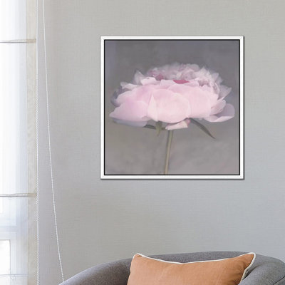 Jolie 1 Piece Wall Art on Canvas