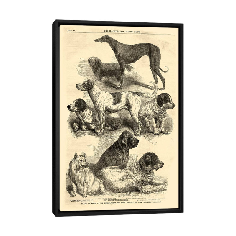 « i », reproduction d’art sur toile tendue International Dog Show, H 48 po x l 32 po x P 1,5 po, Toile avec cadre noir