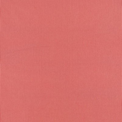 Edie Stripe Fabric