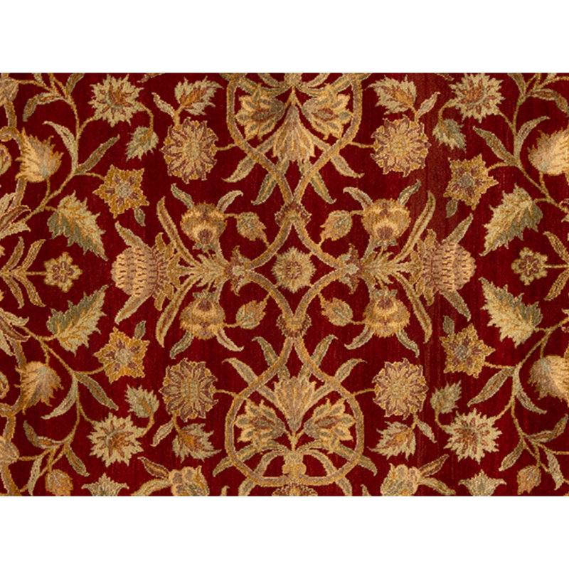 Hand Knotted Area Rug in Red And Gold