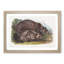 Grizzly Bears by J.W. Audubon - Picture Frame Painting Print-55608844-55608849