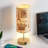 Asaph Metal USB Desk Lamp