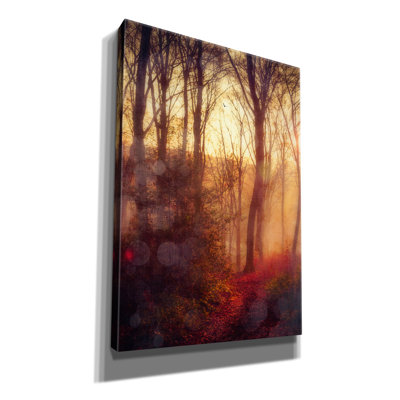 Millwood Pines 'Seasons Light' by Dirk Wustenhagen Canvas Wall Art