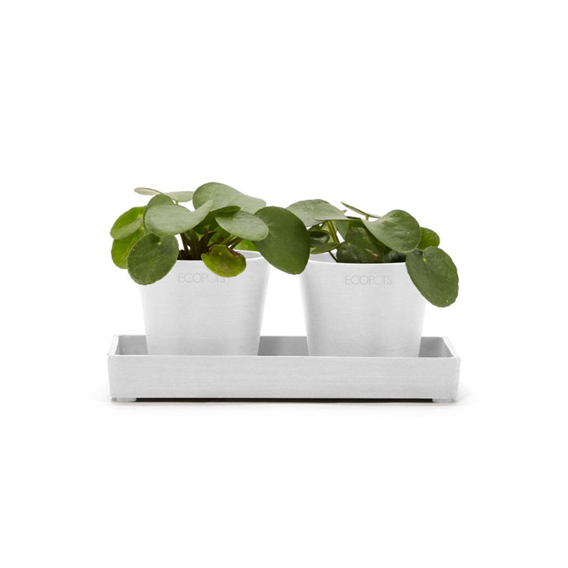 Jardinières en pot, Gris pur