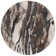 Afrah Abstract Indoor Rug