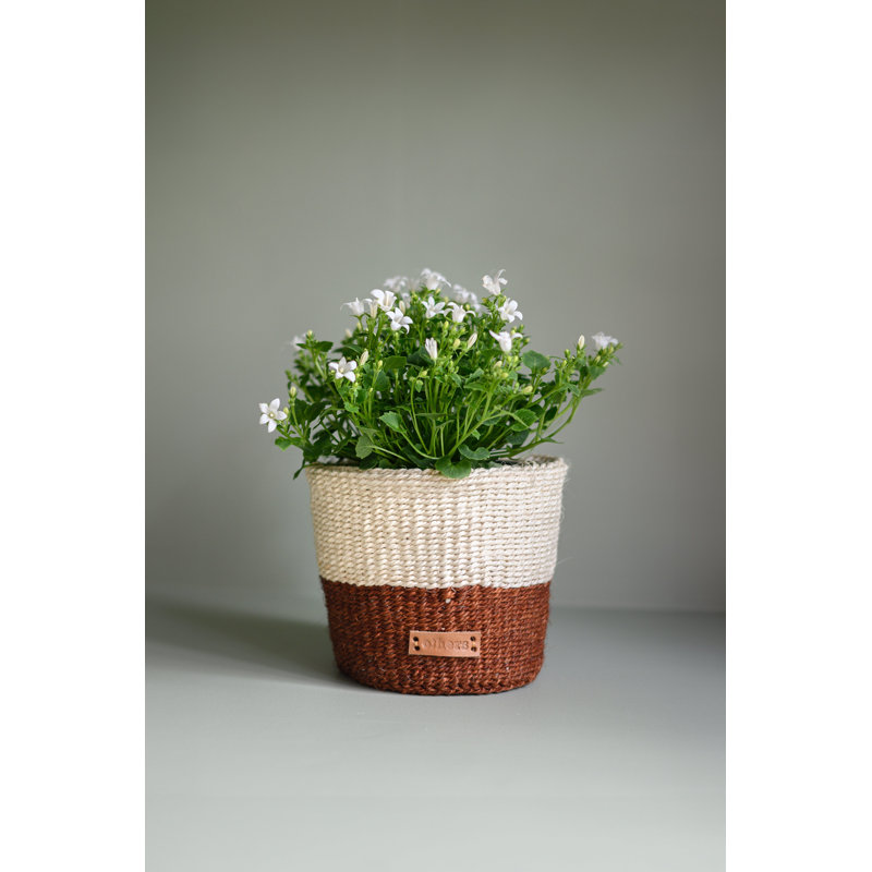 Pot à fleurs rayé brun, Tan