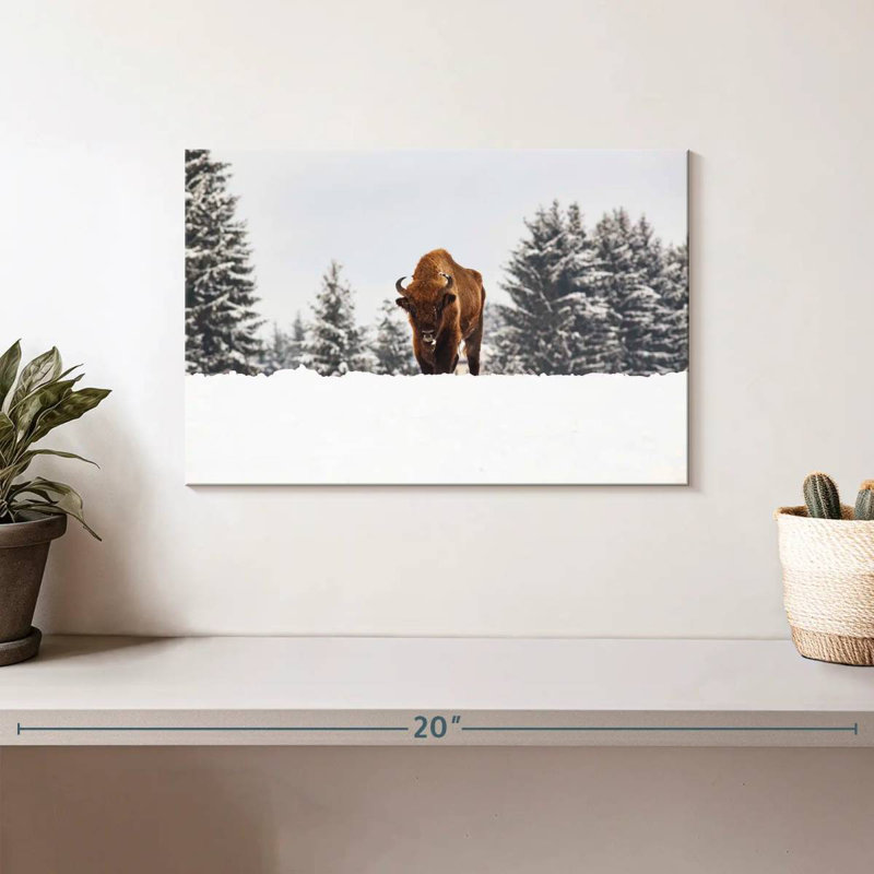 Bison At Winter Fields, 8" H x 12" W