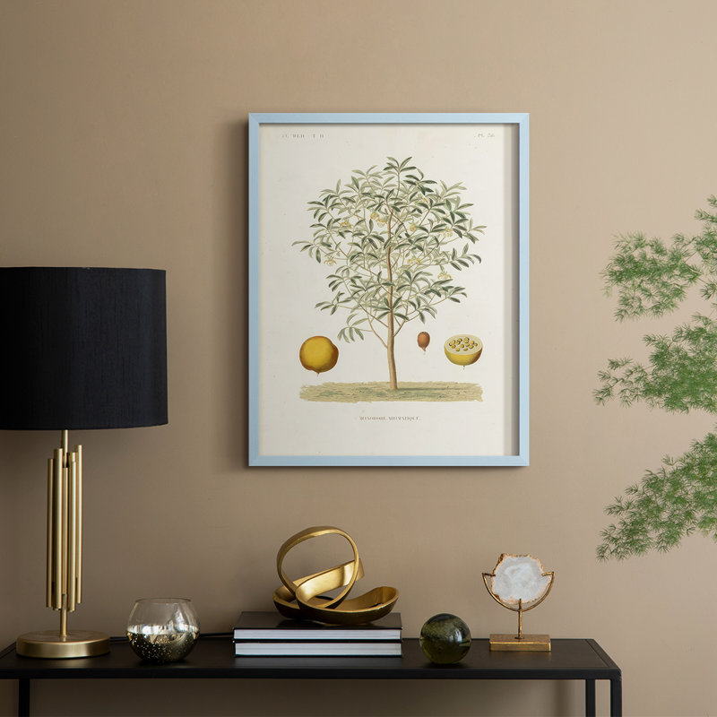 Arbre antique avec fruit IV, reproduction encadrée - bois massif, H 15 po x l 12 po, Bleu