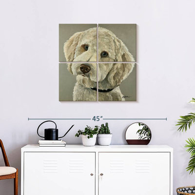 Bramend Goldendoodle sur fond gris