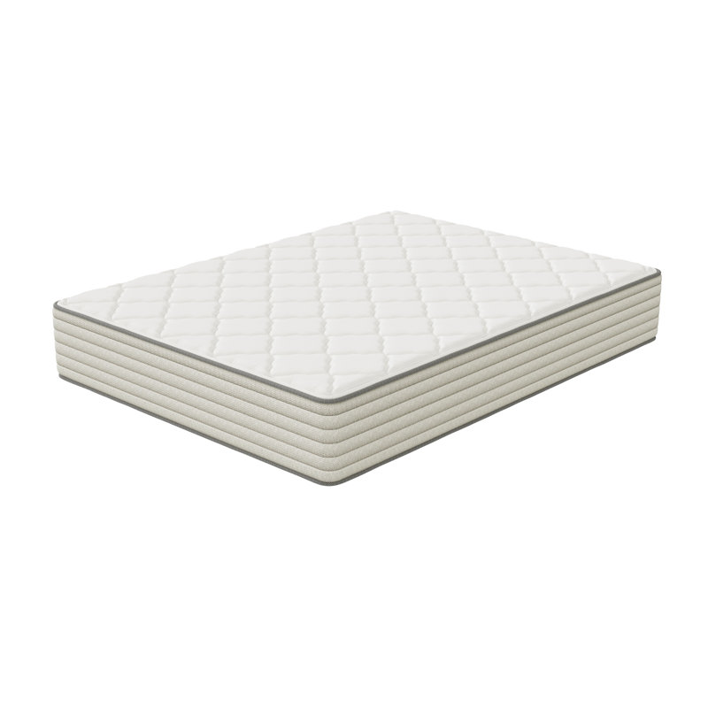 Klotilde 11'' Extra Plush Mattress, Twin