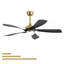 Ventilateur de plafond 52 po avec lumière, télécommande, éclairage à intensité variable réglable et moteur à courant continu silencieux pour la chambre à coucher et le salon-126322154